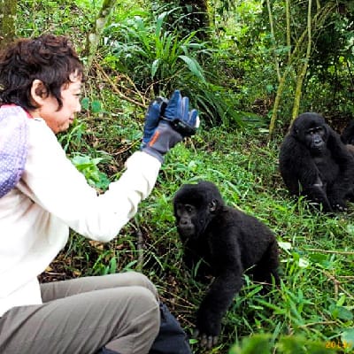 Photo Gallery, Ensi Safaris