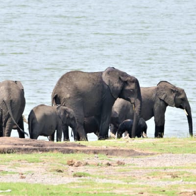 Photo Gallery, Ensi Safaris