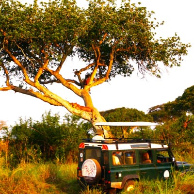 Photo Gallery, Ensi Safaris
