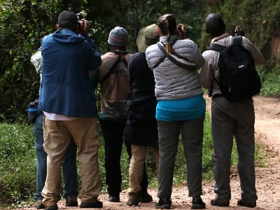 Ensi Safaris clients birding in Bwindi Impenetrable National Park